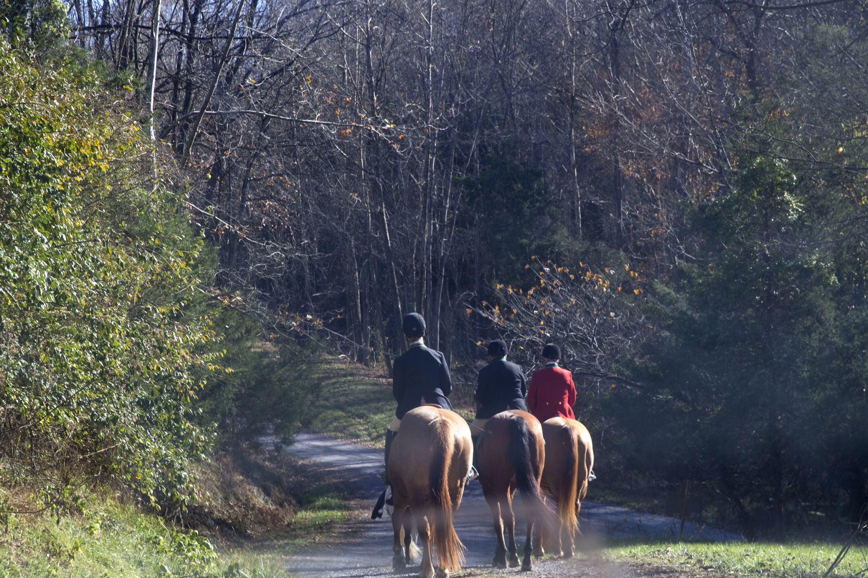 skd RockbridgeHunt 110219 p16
